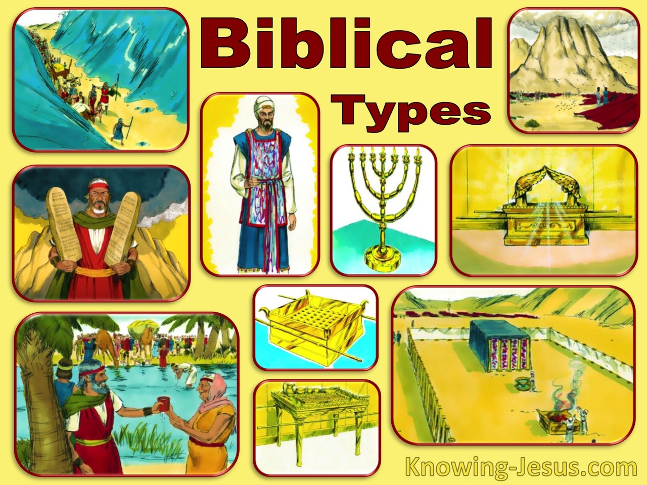 Exodus and Leviticus (devotional) (yellow) - Hebrews 8:5